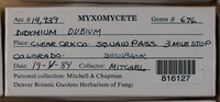 Image Associated With the Occurence